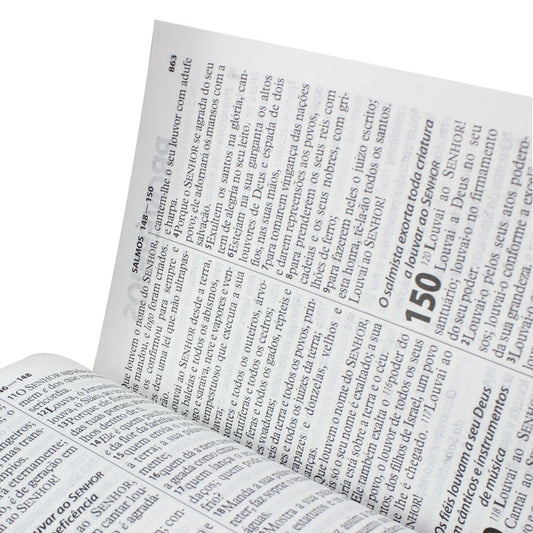 Bíblia Sagrada Pão da Vida | ARC | Letra Gigante | Capa Brochura