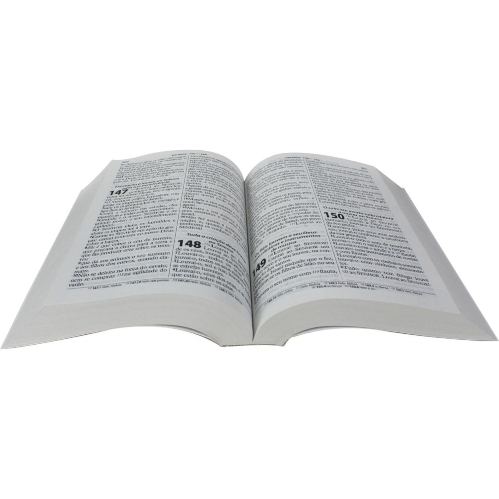 Bíblia Sagrada Pão da Vida | ARC | Letra Gigante | Capa Brochura