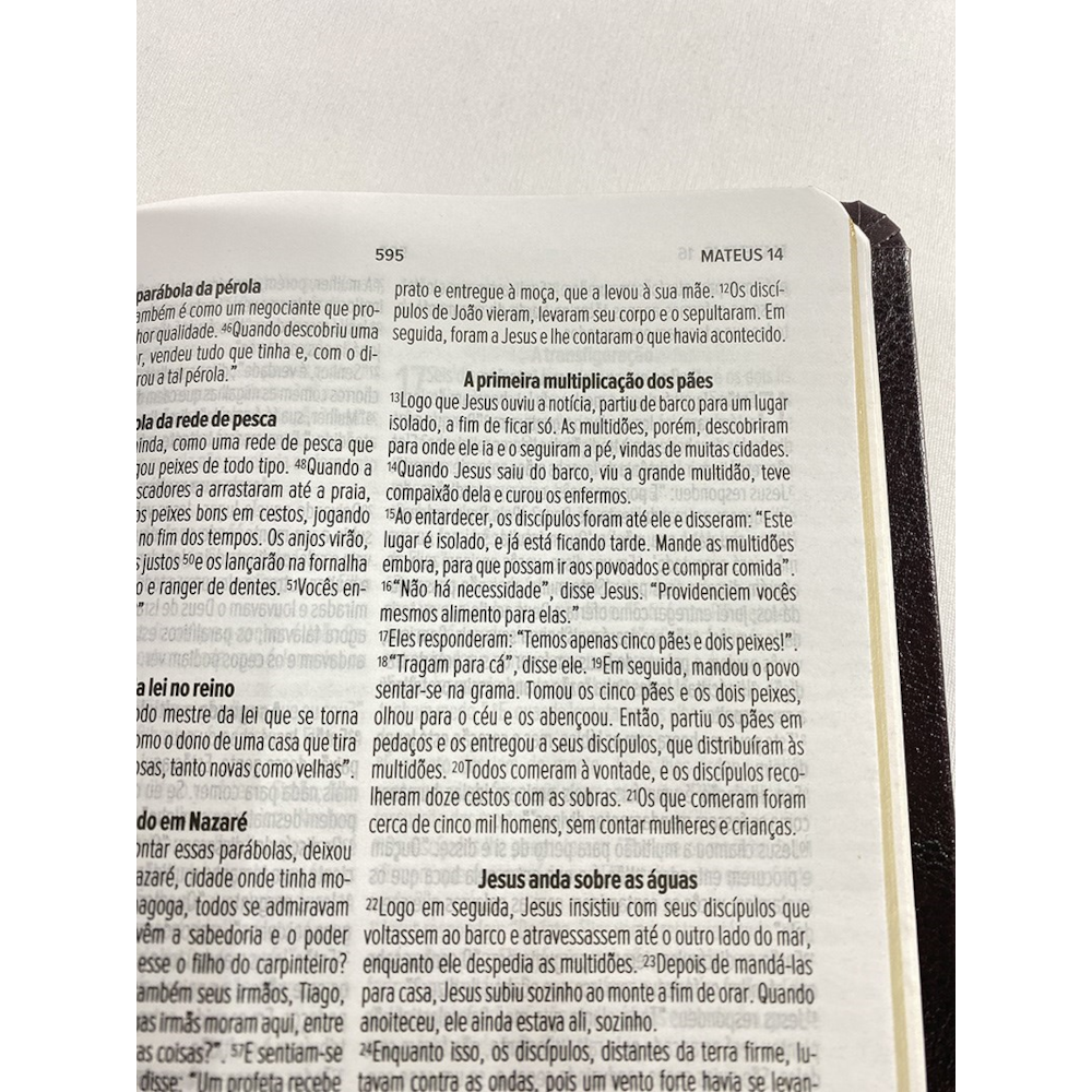 Bíblia Sagrada Slim | NVT | Letra Normal | Capa Roxa