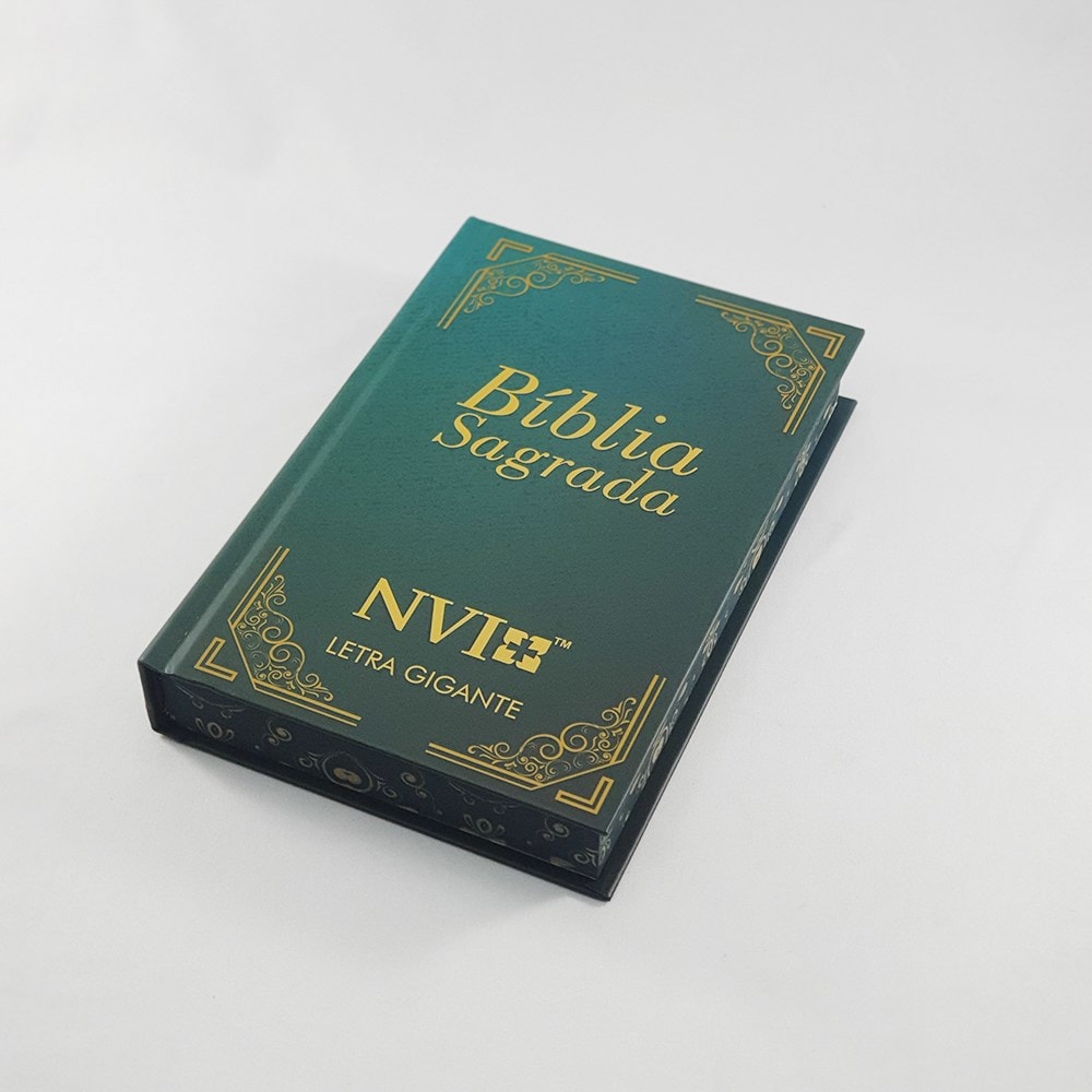 Bíblia Sagrada Moldura Azul | NVI | Letra Gigante | Capa Dura
