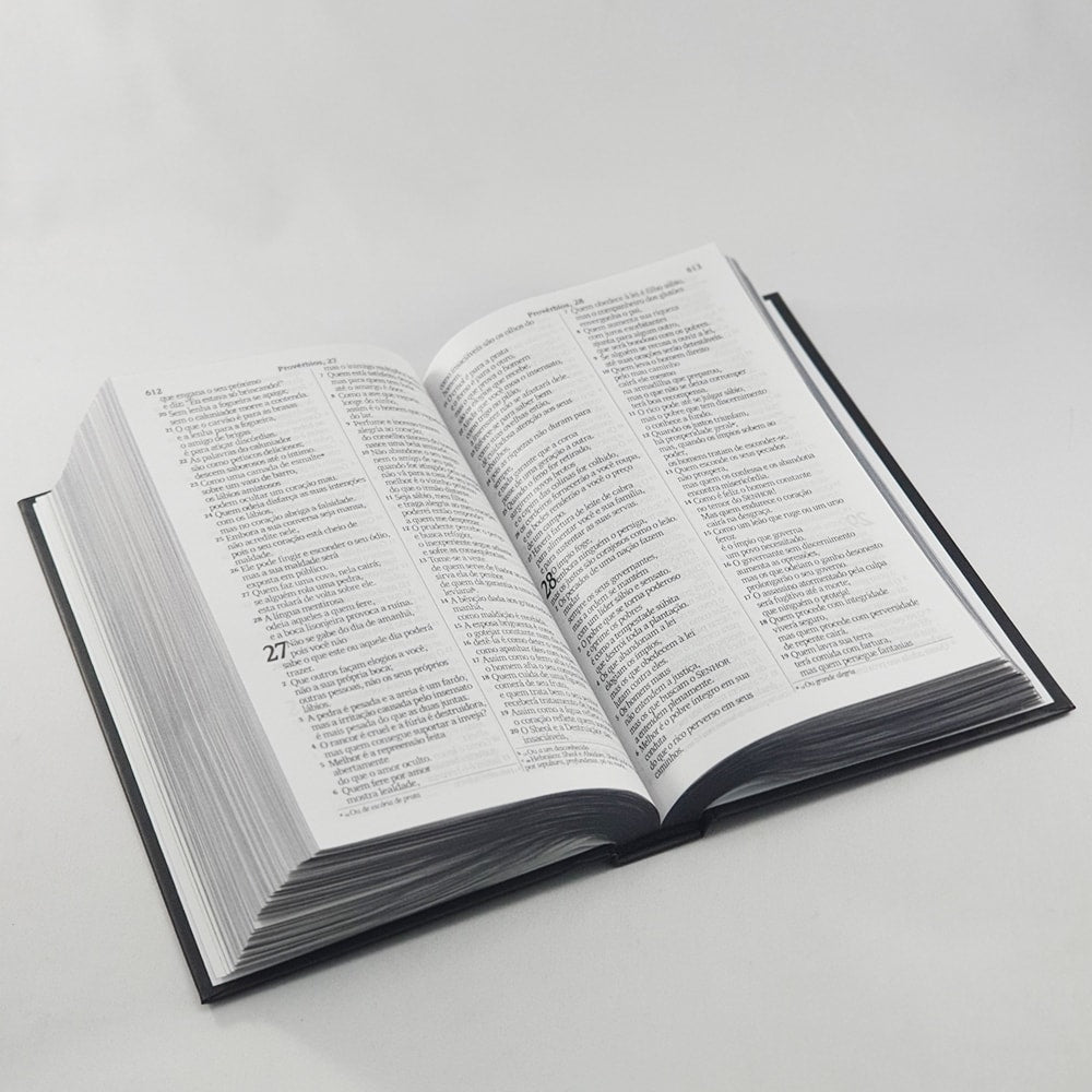 Bíblia Sagrada Leão Esboço | NVI | Letra Gigante | Capa Dura