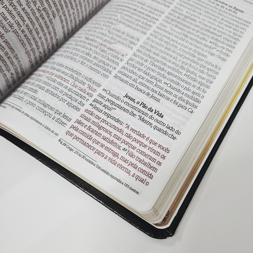 Bíblia Sagrada | NVI | Letra Grande | Capa Preta Luxo