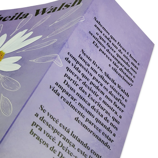 Persista e não Desista | Sheila Walsh