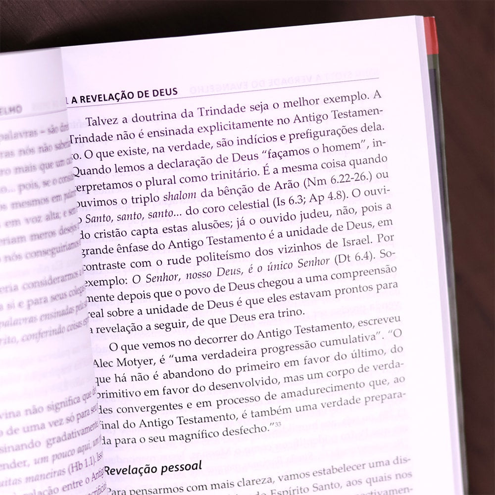 A Verdade do Evangelho | John Stott