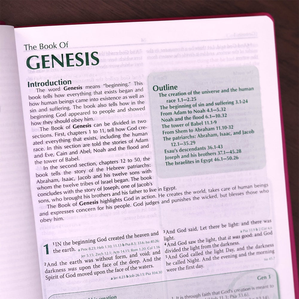 Preachers Bible | Bíblia da Pregadora em Inglês | KJV | Capa Luxo Flor