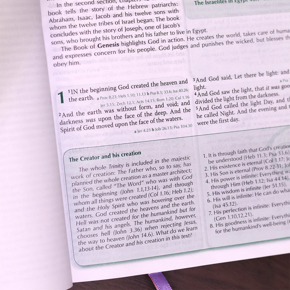 Preachers Bible | Bíblia da Pregadora em Inglês | KJV | Capa Luxo Flor