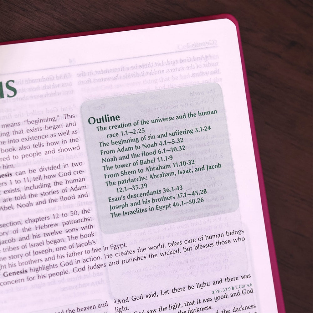 Preachers Bible | Bíblia da Pregadora em Inglês | KJV | Capa Luxo Flor