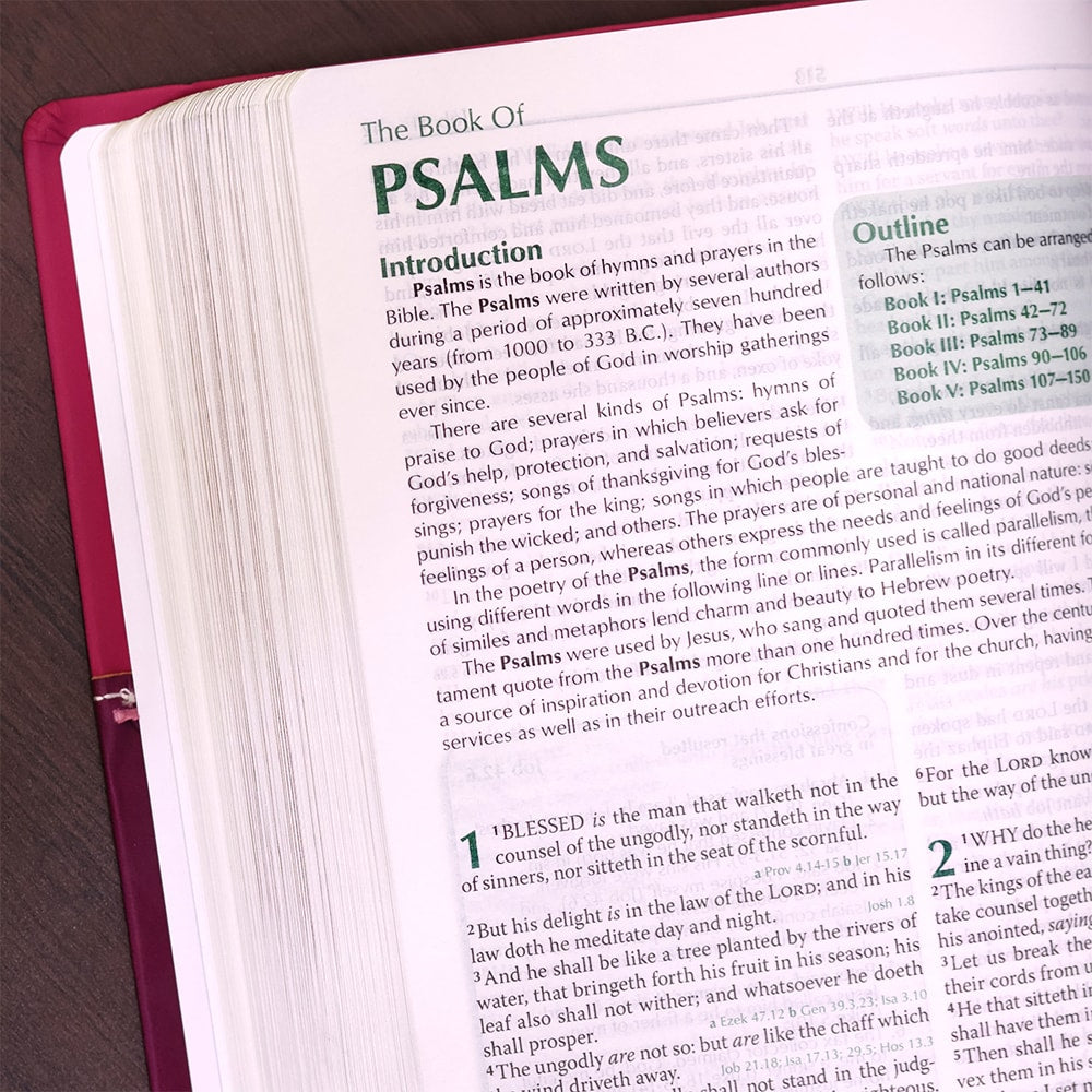 Preachers Bible | Bíblia da Pregadora em Inglês | KJV | Capa Luxo Flor