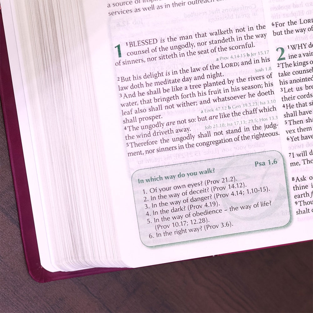 Preachers Bible | Bíblia da Pregadora em Inglês | KJV | Capa Luxo Flor