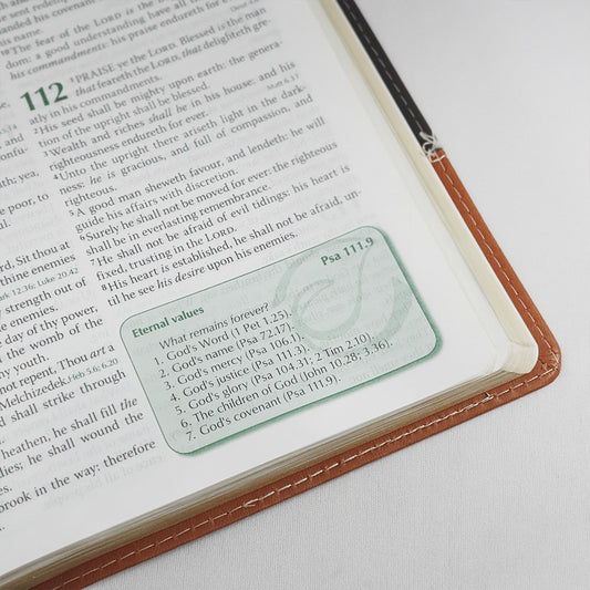 Preachers Bible | Bíblia do Pregador em Inglês | KJV | Capa Luxo Marrom