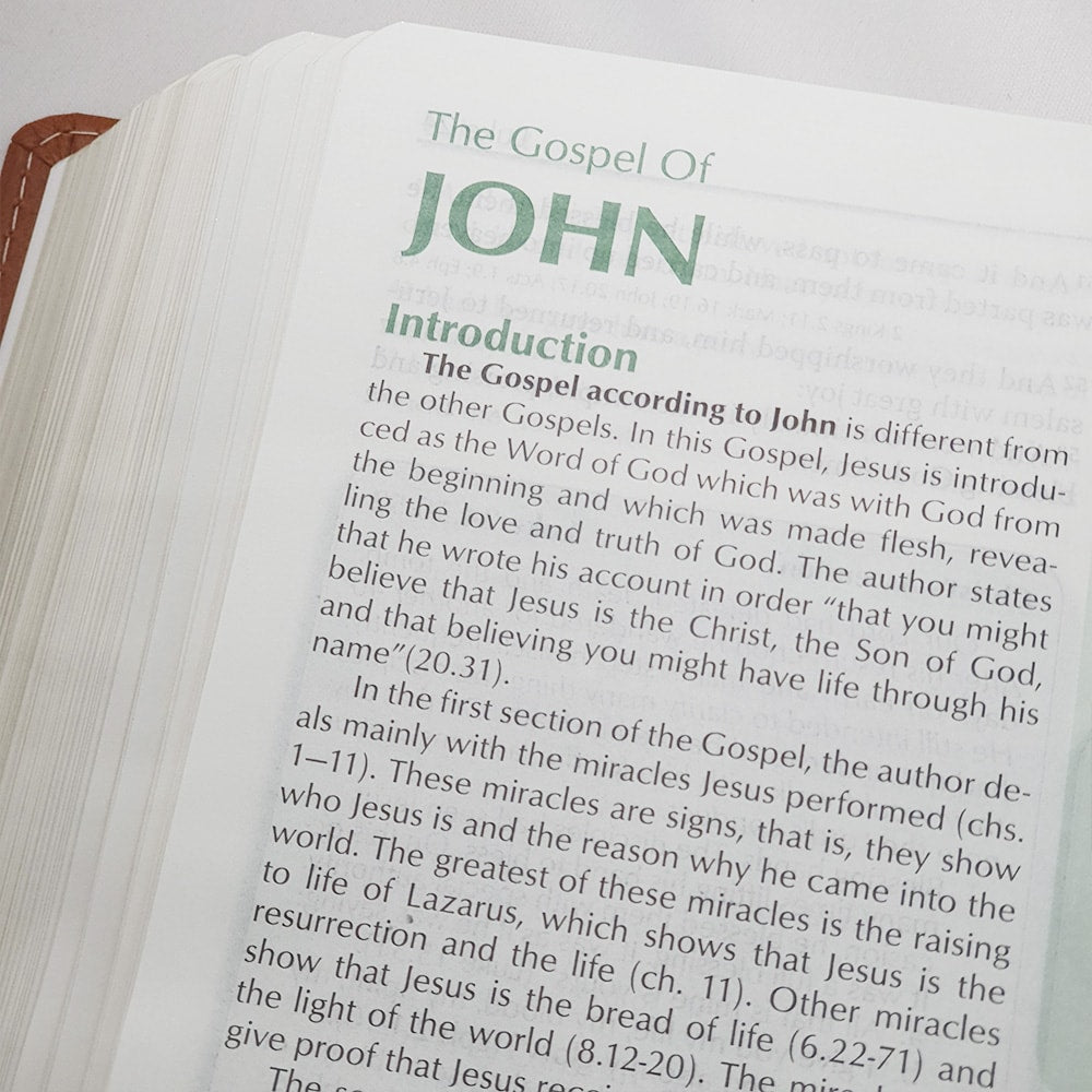 Preachers Bible | Bíblia do Pregador em Inglês | KJV | Capa Luxo Marrom