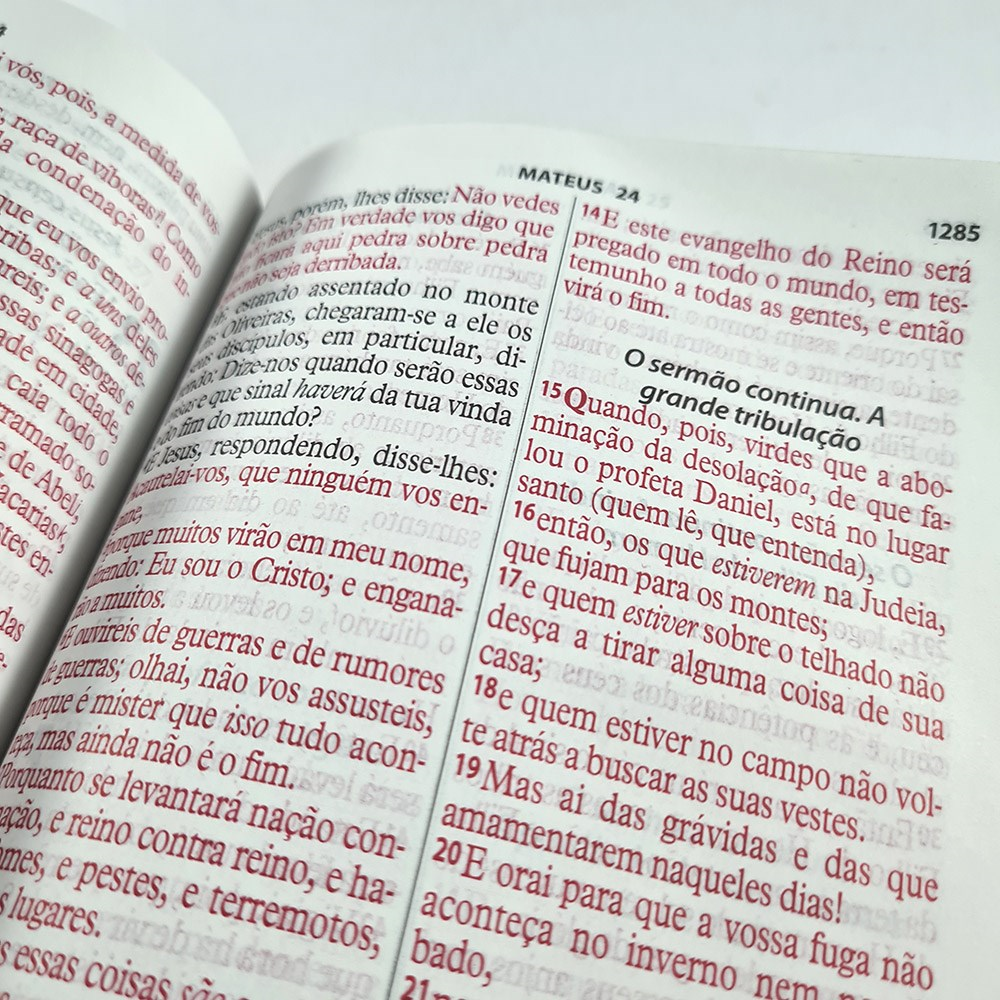 Bíblia da Mulher Vitoriosa | Letra Gigante | ARC | Dourada