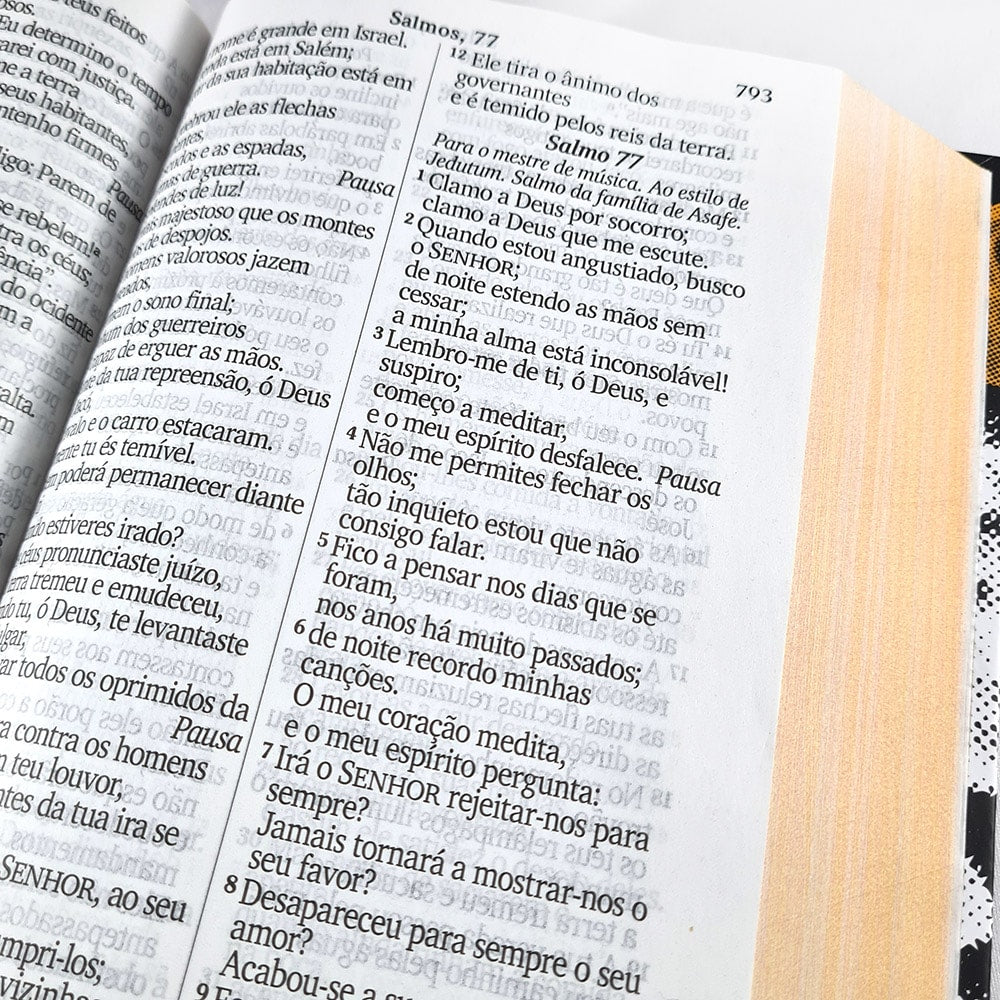 Bíblia Sagrada Letra Jumbo | ARC | Capa Dura Leão Rei