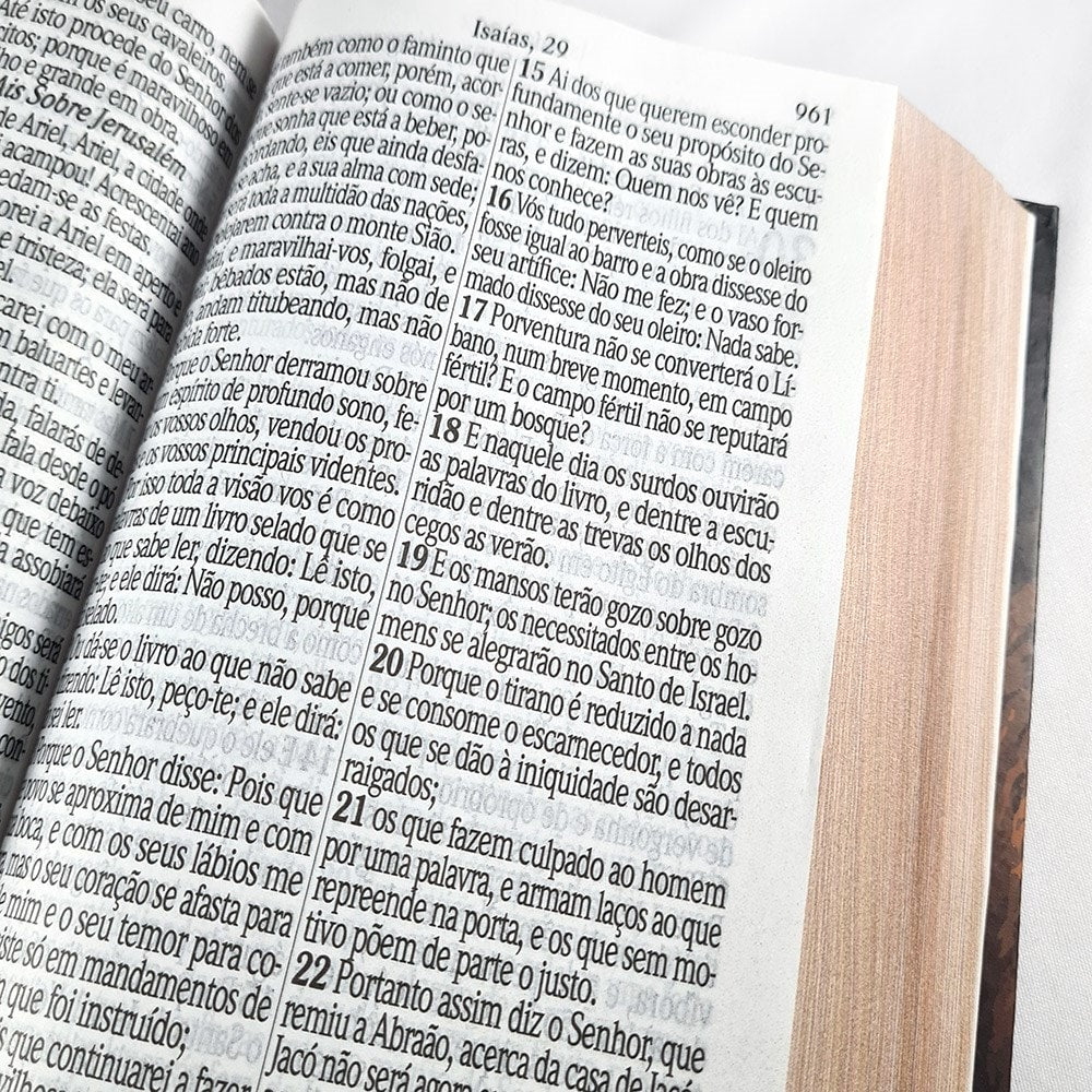 Bíblia Sagrada Letra Jumbo | ARC | Capa Dura Leão Vetor