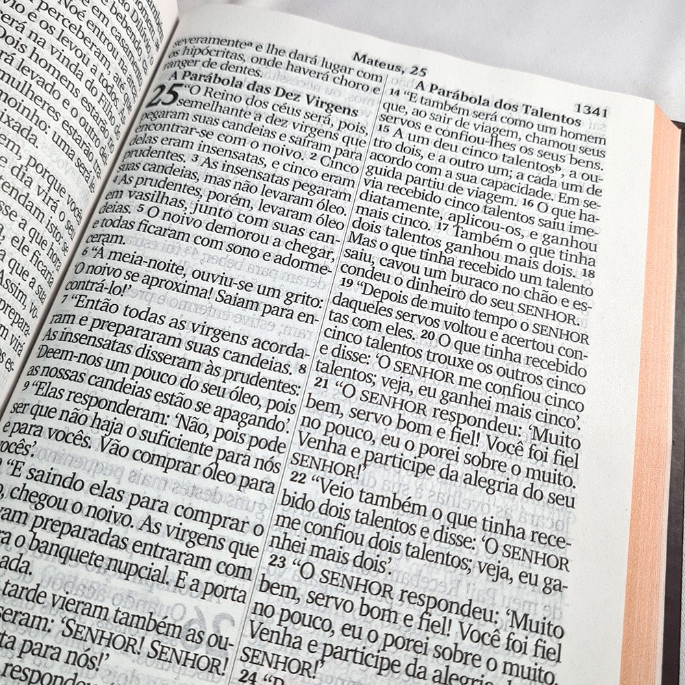 Bíblia Sagrada Letra Jumbo | NVI | Capa Dura Leão Figura