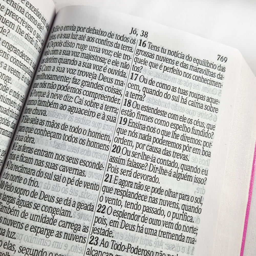 Bíblia Sagrada Letra Jumbo | ARC | Harpa Avivada | Capa Covertex Pink