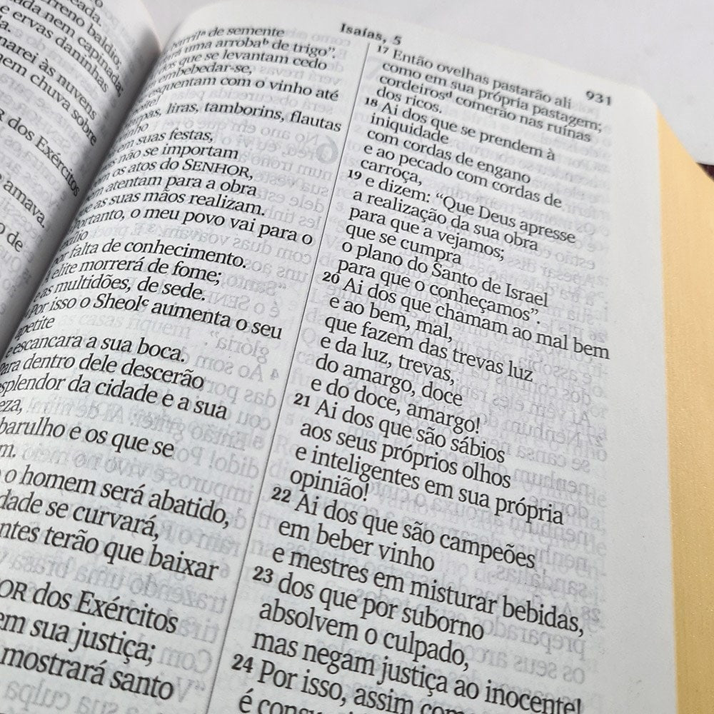 Bíblia Sagrada | NVI | Letra Jumbo | Cover book Luxo Bordo