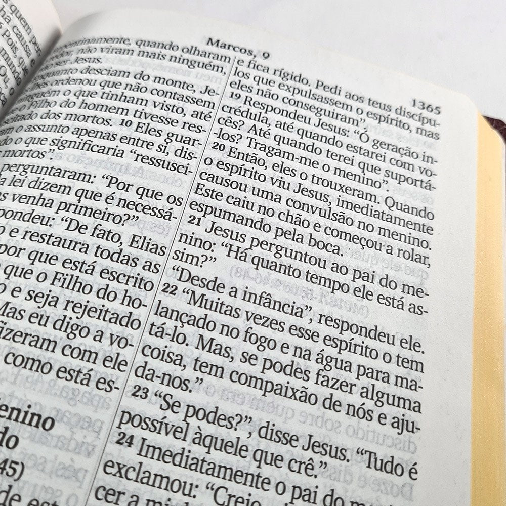 Bíblia Sagrada | NVI | Letra Jumbo | Cover book Luxo Bordo