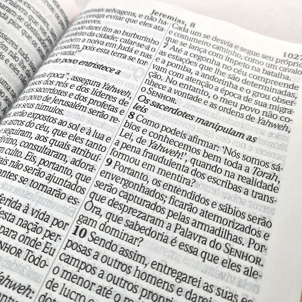 Bíblia Sagrada | NVI | Letra Jumbo | Cover book Luxo Azul