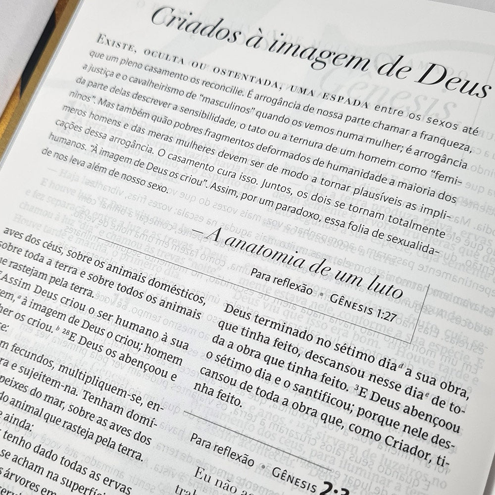 Bíblia C S Lewis | NAA | Leitura Perfeita | Capa Dura Preto e Dourado