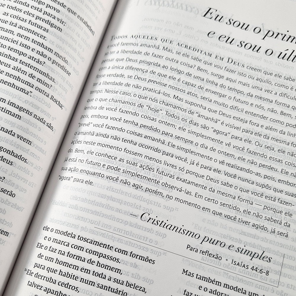 Bíblia C S Lewis | NVI | Leitura Perfeita | Capa Dura Azul e Dourado