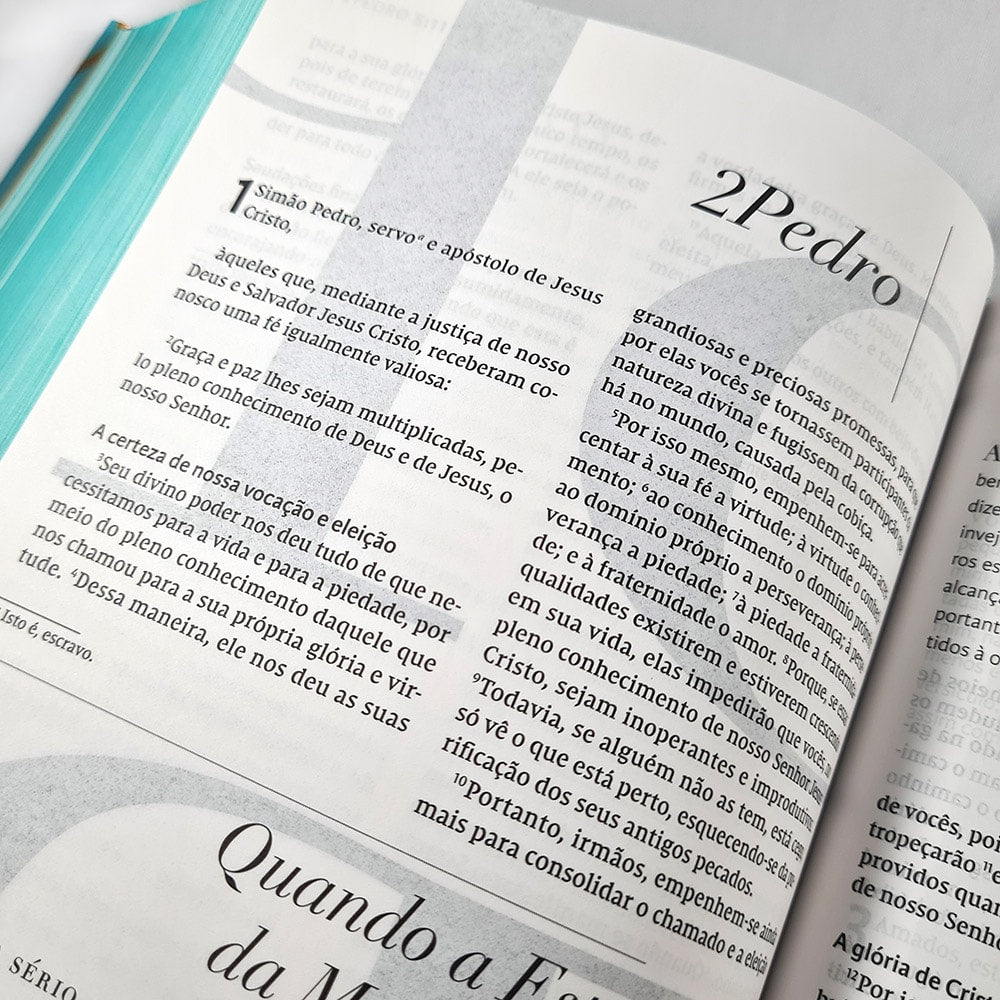 Bíblia C S Lewis | NVI | Leitura Perfeita | Capa Dura Azul e Dourado