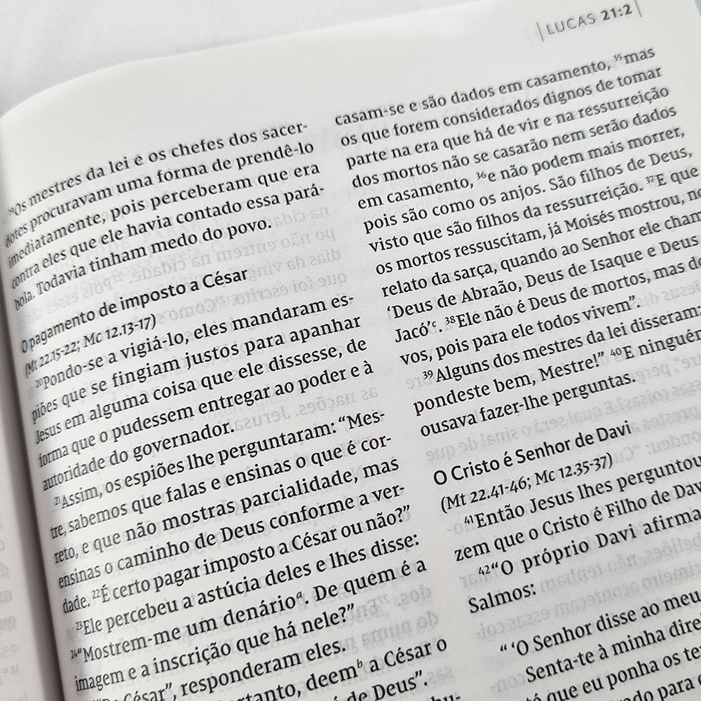 Bíblia C S Lewis | NVI | Leitura Perfeita | Capa Dura Azul e Dourado