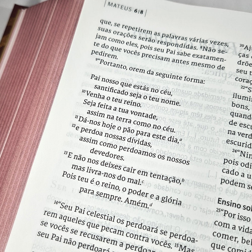 Bíblia C S Lewis | NVT | Leitura Perfeita | Capa Dura Vermelho e Dourado