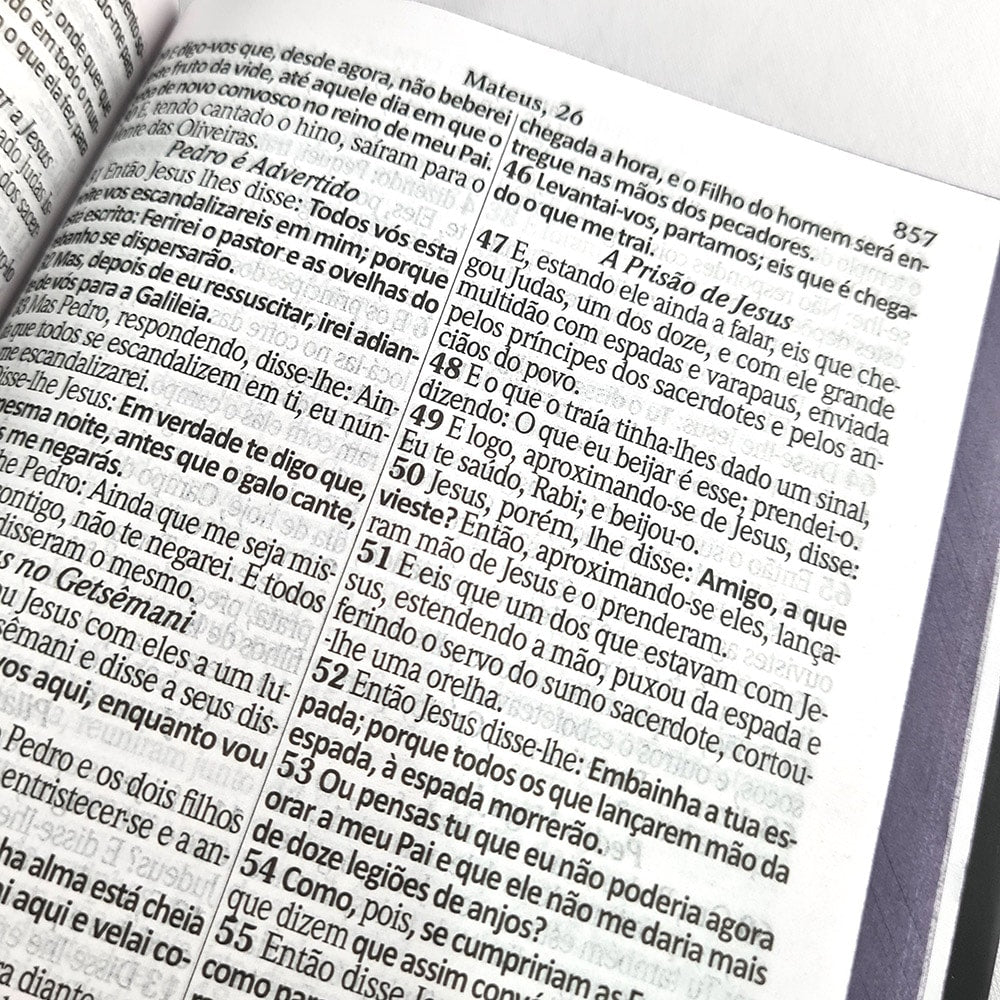 Bíblia Sagrada com Harpa Avivada e Corinhos Arabesco| ARC | Letra Gigante | Capa Dura