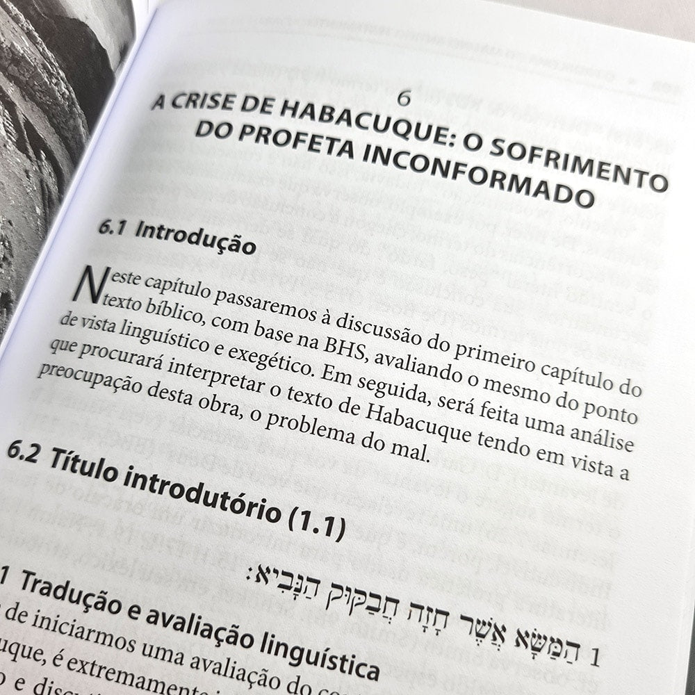 O Problema do Mal no Antigo Testamento | Luiz Sayão