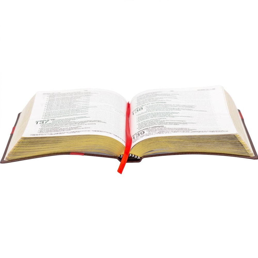 Bíblia Sagrada | NAA | Letra Grande | Capa Luxo Marrom Cruz Vermelha