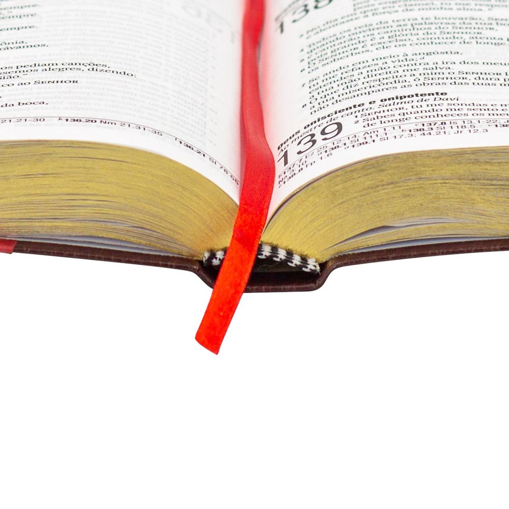 Bíblia Sagrada | NAA | Letra Grande | Capa Luxo Marrom Cruz Vermelha