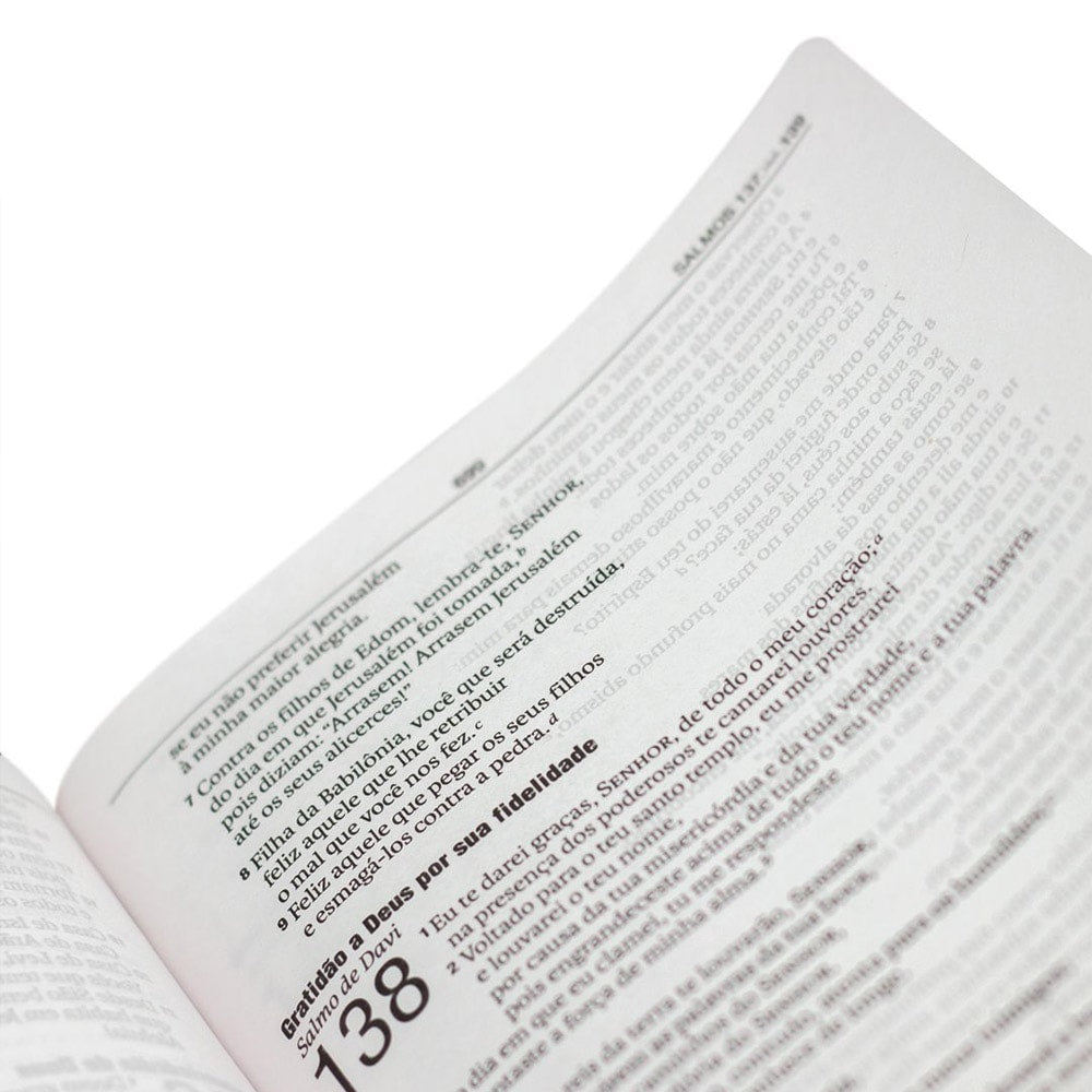 Bíblia Sagrada | NAA | Letra Grande | Capa Luxo Marrom Cruz Vermelha
