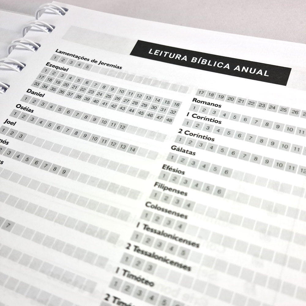 Planner da Vida Diária Joyce Meyer | Capa Dura Marrom