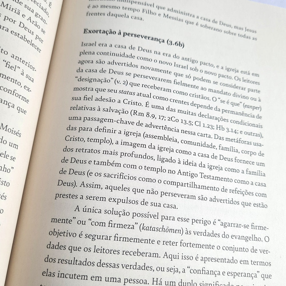 Comentário Expositivo Carta aos Hebreus | Grant R. Osborne