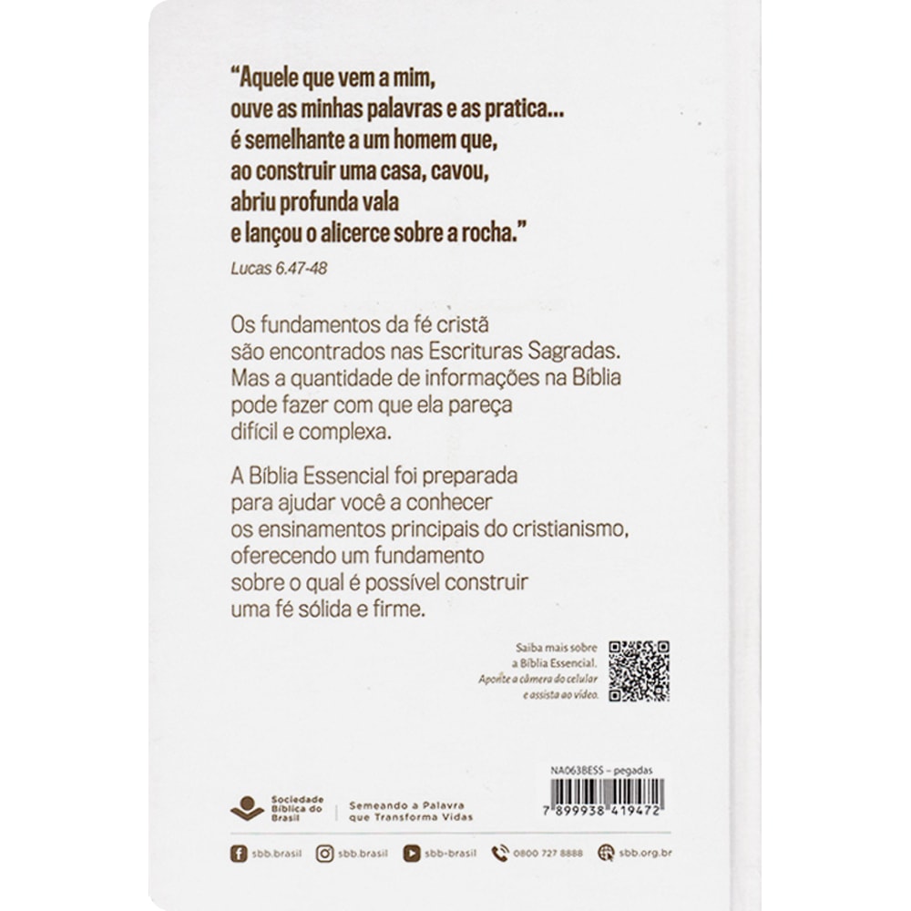 Bíblia Essencial | NAA | Letra Normal | Capa Dura Pegadas