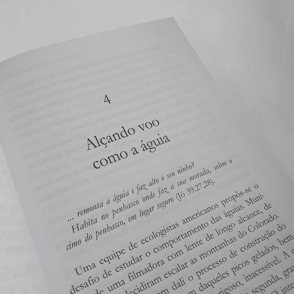 Quem é Você? Águia ou Galinha? | Jorge Linhares