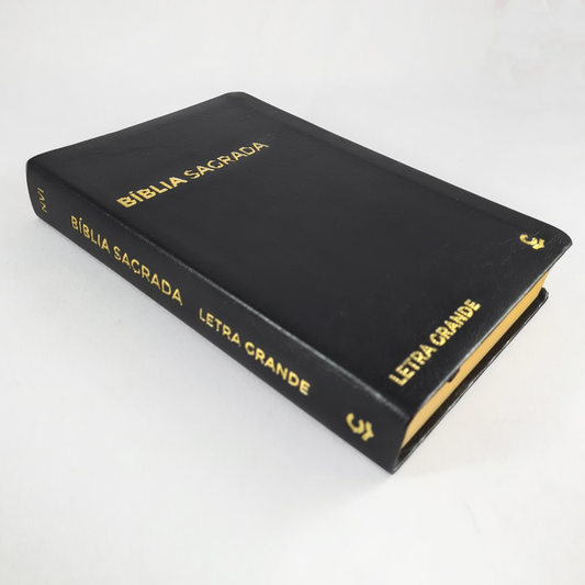 Bíblia Sagrada | NVI | Letra Grande | Capa Luxo Preta