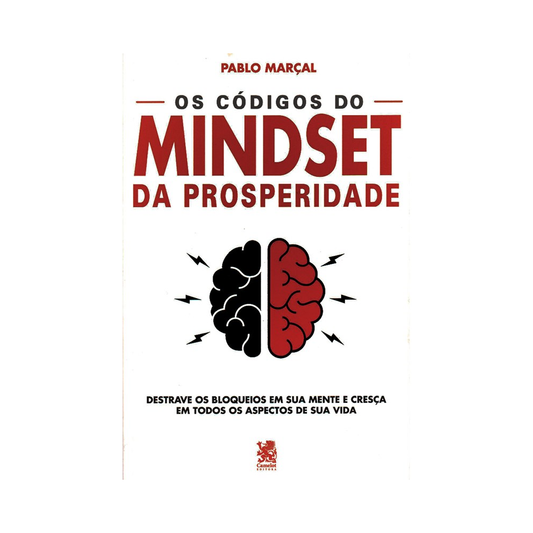 Os Códigos do Mindset da Prosperidade | Pablo Marcal