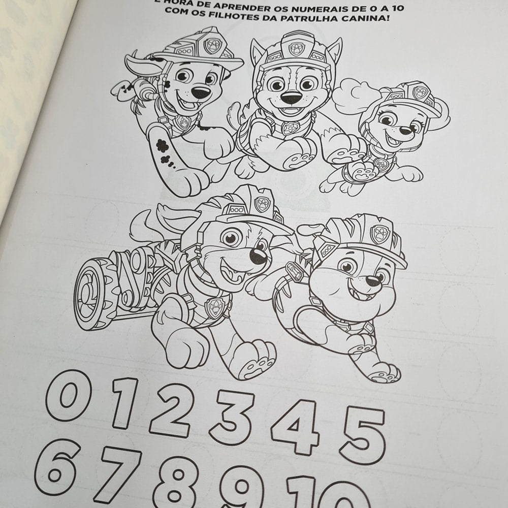 Patrulha Canina e Dino Resgate | Livro Tela de Pintura e Atividades