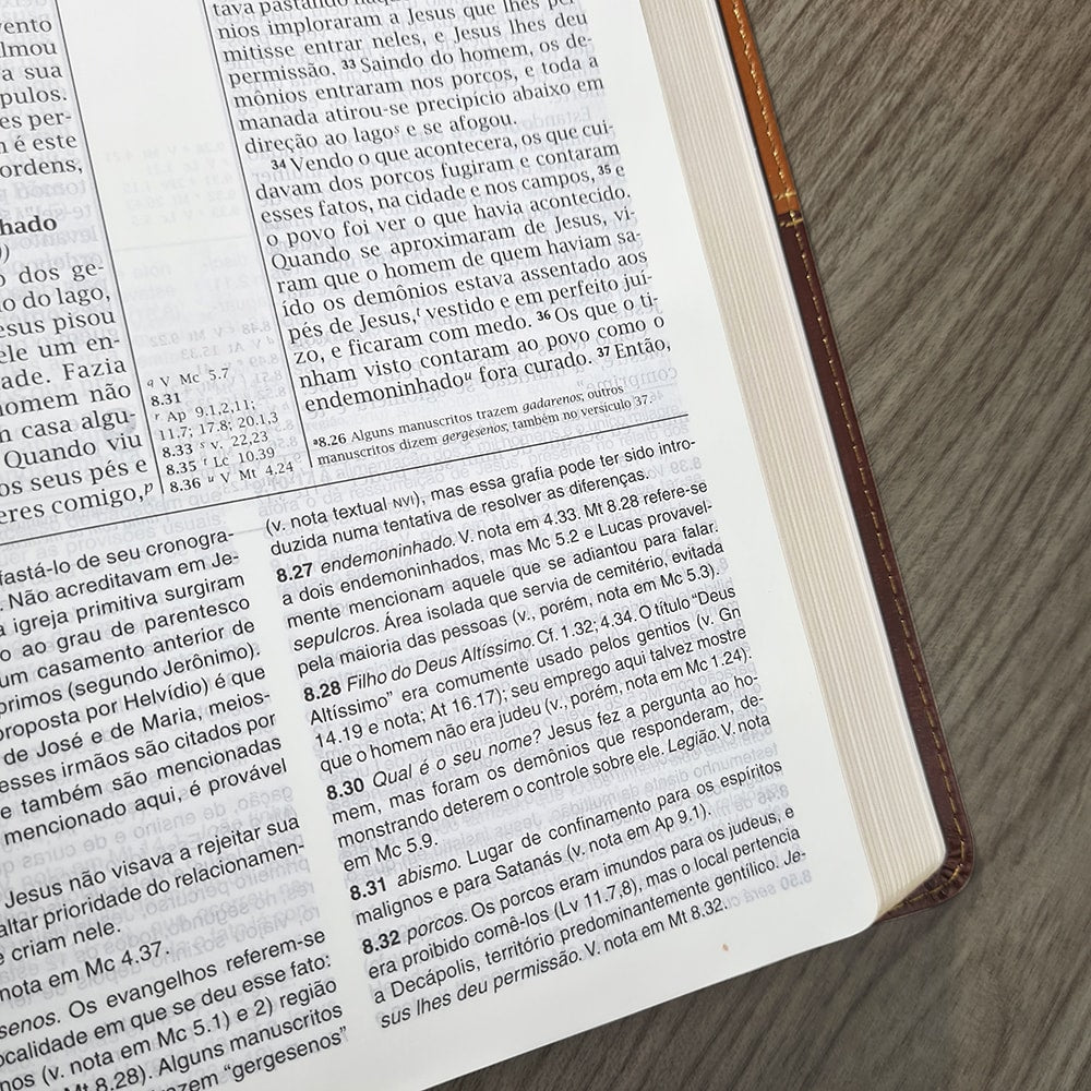 Bíblia de Estudo | NVI | Letra Normal | Capa Luxo Marrom e Caramelo