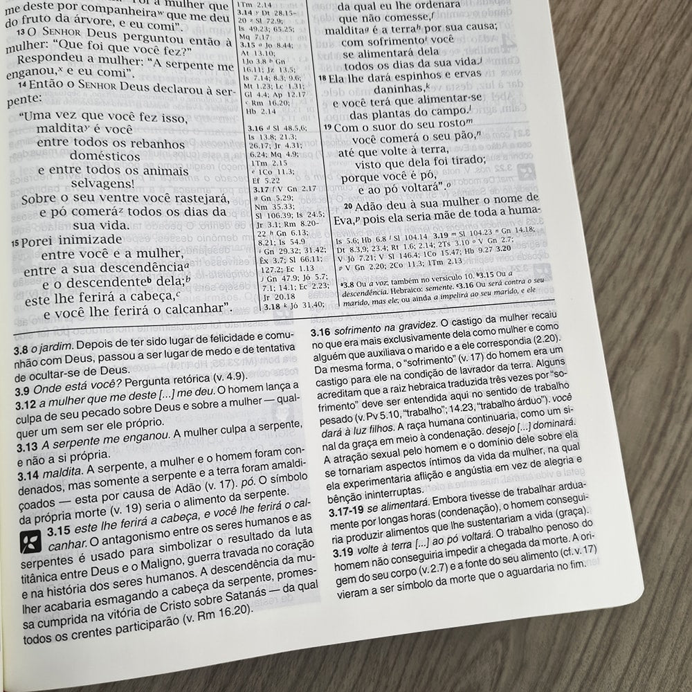 Bíblia de Estudo | NVI | Letra Normal | Capa Luxo Pink