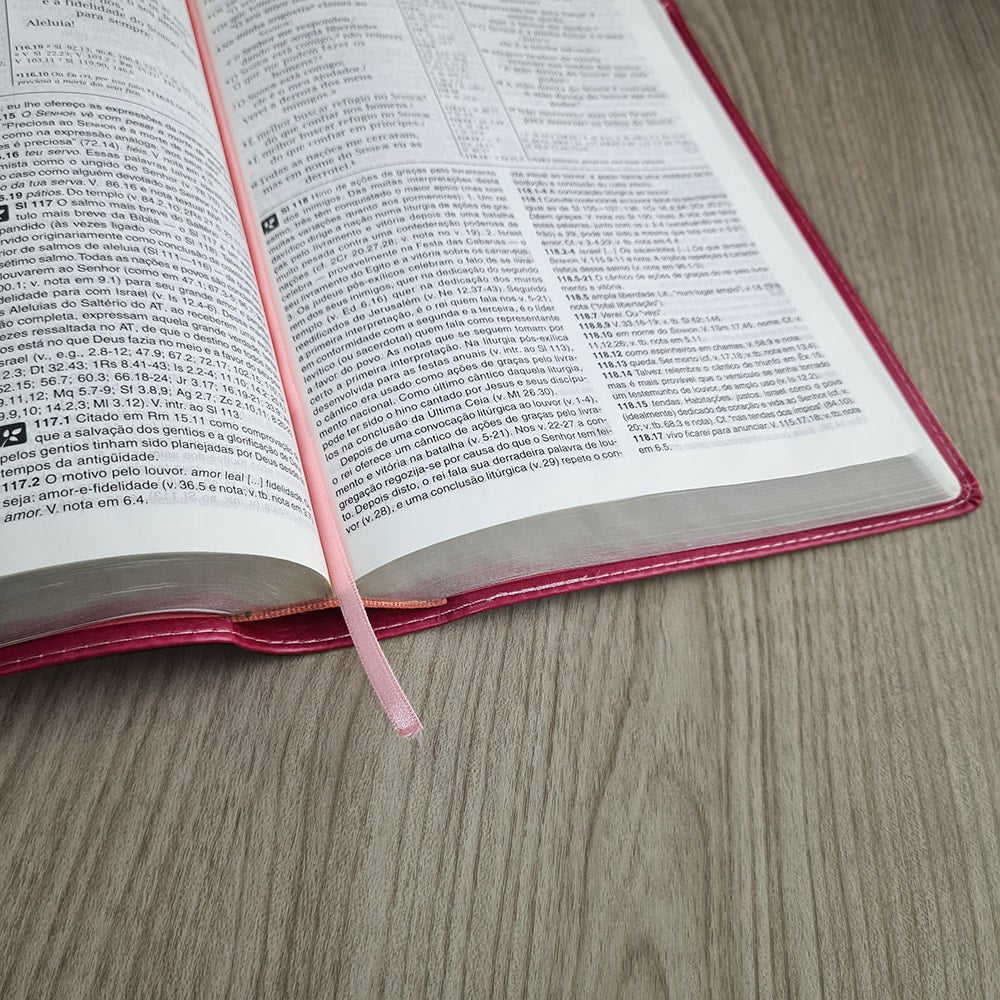 Bíblia de Estudo | NVI | Letra Normal | Capa Luxo Pink