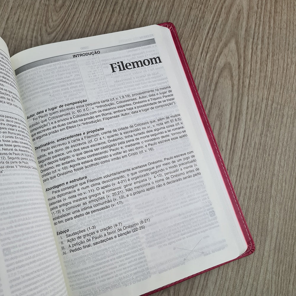 Bíblia de Estudo | NVI | Letra Normal | Capa Luxo Pink