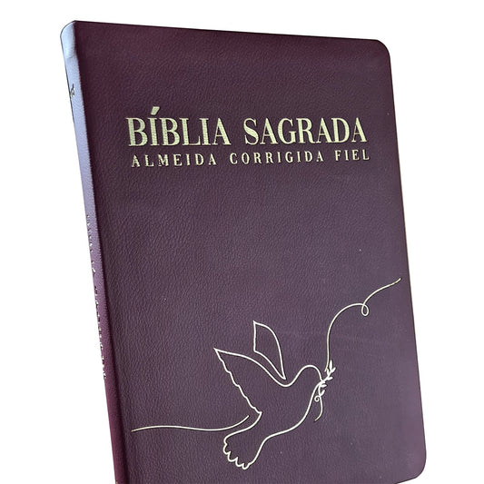 Bíblia Sagrada Paz | ACF | Letra Maior | Capa Luxo