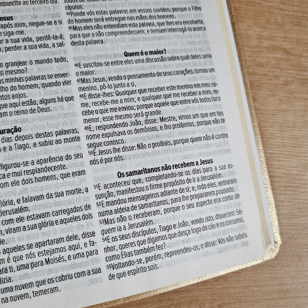 Bíblia Sagrada Linhas de Ouro | ACF | Letra Maior | Capa Luxo