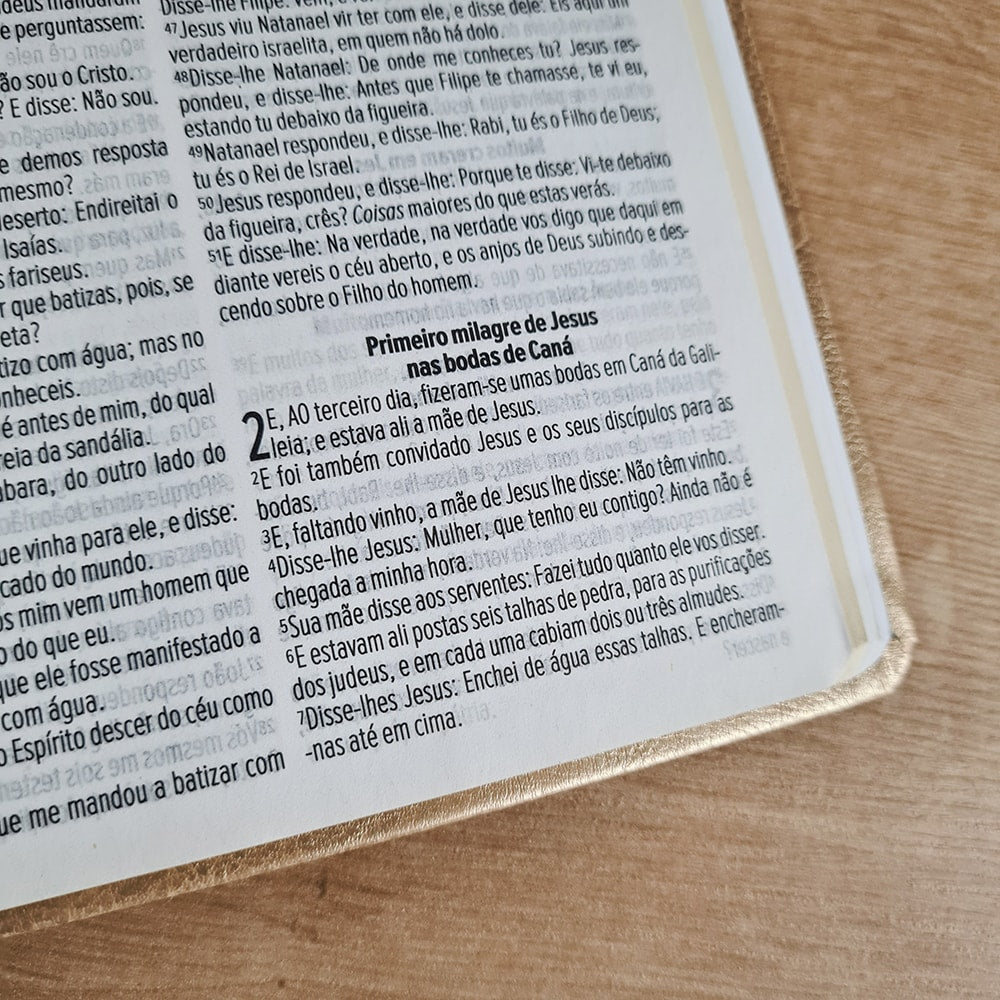 Bíblia Sagrada Linhas de Ouro | ACF | Letra Maior | Capa Luxo