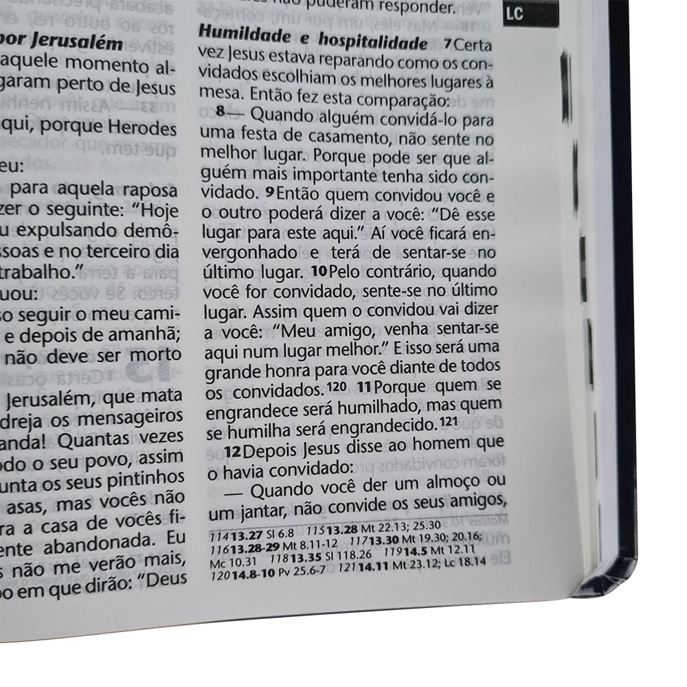 Bíblia Sagrada Azaleia | NTLH | Letra Grande | Capa Dura