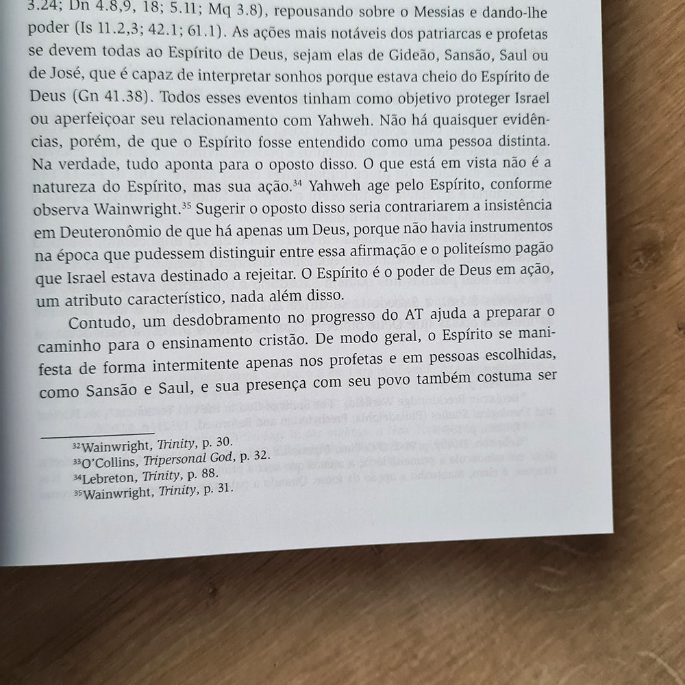 A Trindade | Robert Letham