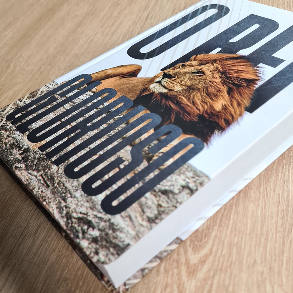 Bíblia Rei Glorioso | ACF | Letra Normal | Capa Dura